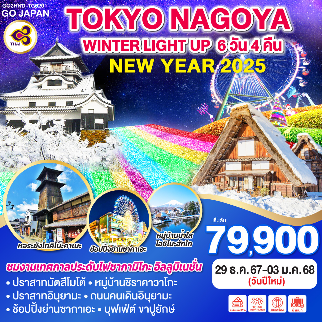 ทัวร์ญี่ปุ่น TOKYO NAGOYA WINTER LIGHT UP NEW YEAR 6วัน 4คืน (TG)