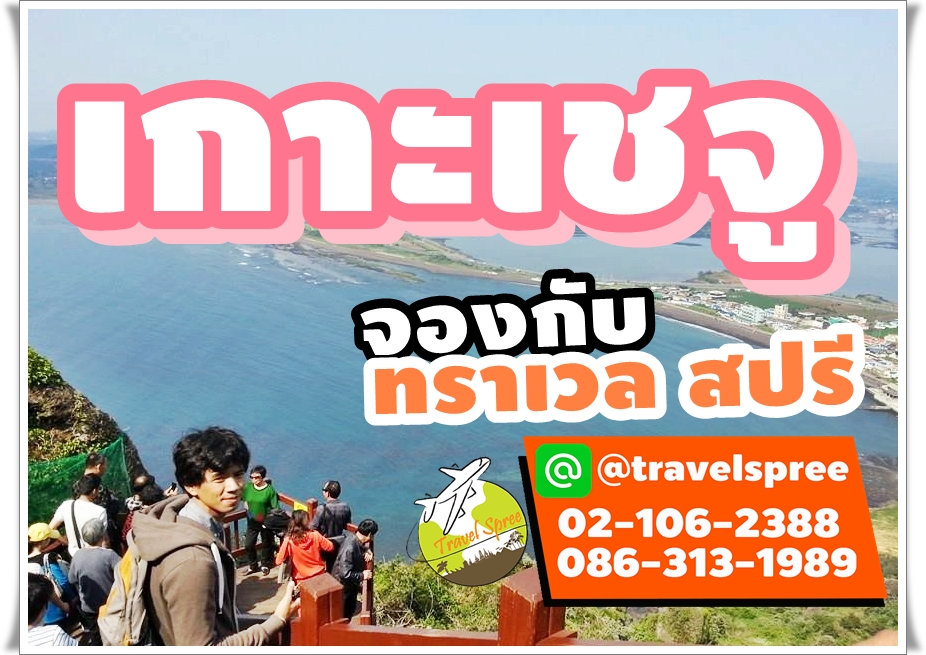 สอบถามกับเจ้าหน้าที่ Line ID: @travelspree