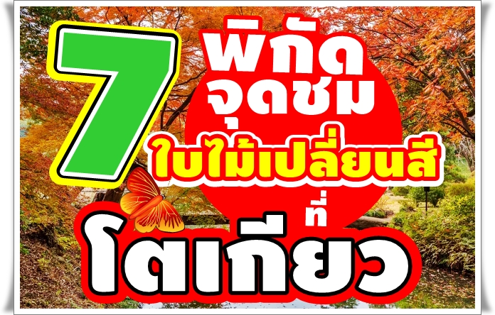 7 พิกัด จุดชมใบไม้เปลี่ยนสี ที่ โตเกียว