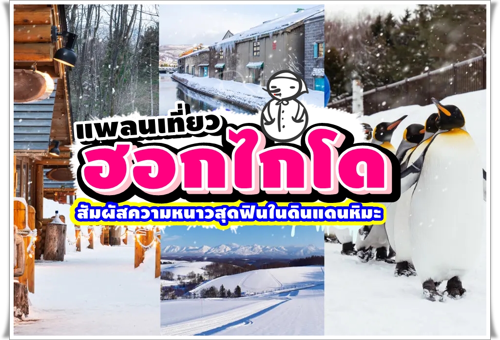 แพลนเที่ยวฮอกไกโด สัมผัสความหนาวสุดฟินในดินแดนหิมะ