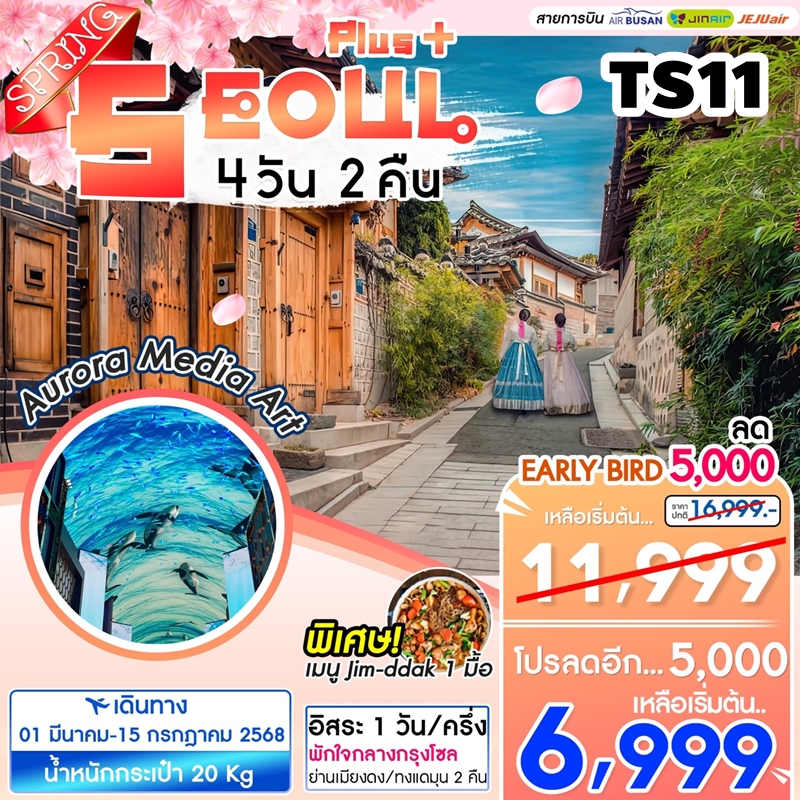 TS11 ทัวร์เกาหลี โซล Seoul Plus Spring 4D2N 7C 1MAR-12JUL25