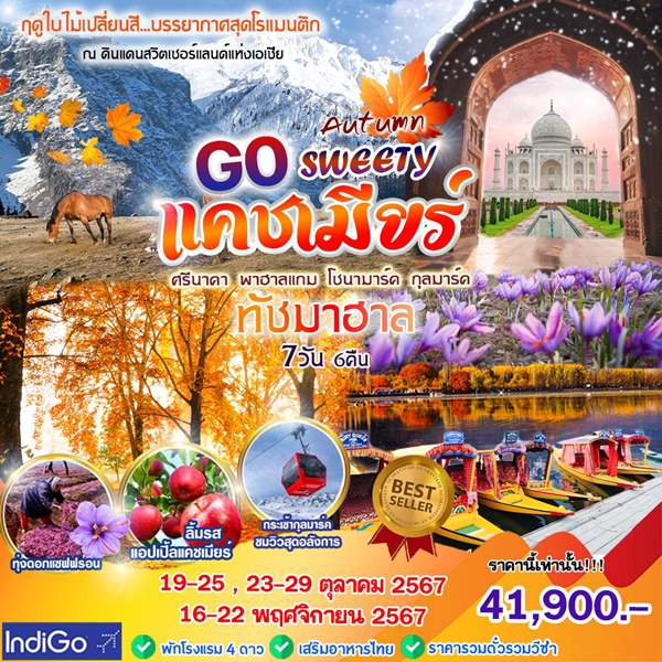 HML02 ทัวร์อินเดีย AUTUMN GO SWEETY แคชเมียร์ ทัชมาฮาล 7 วัน 6คืน 6E