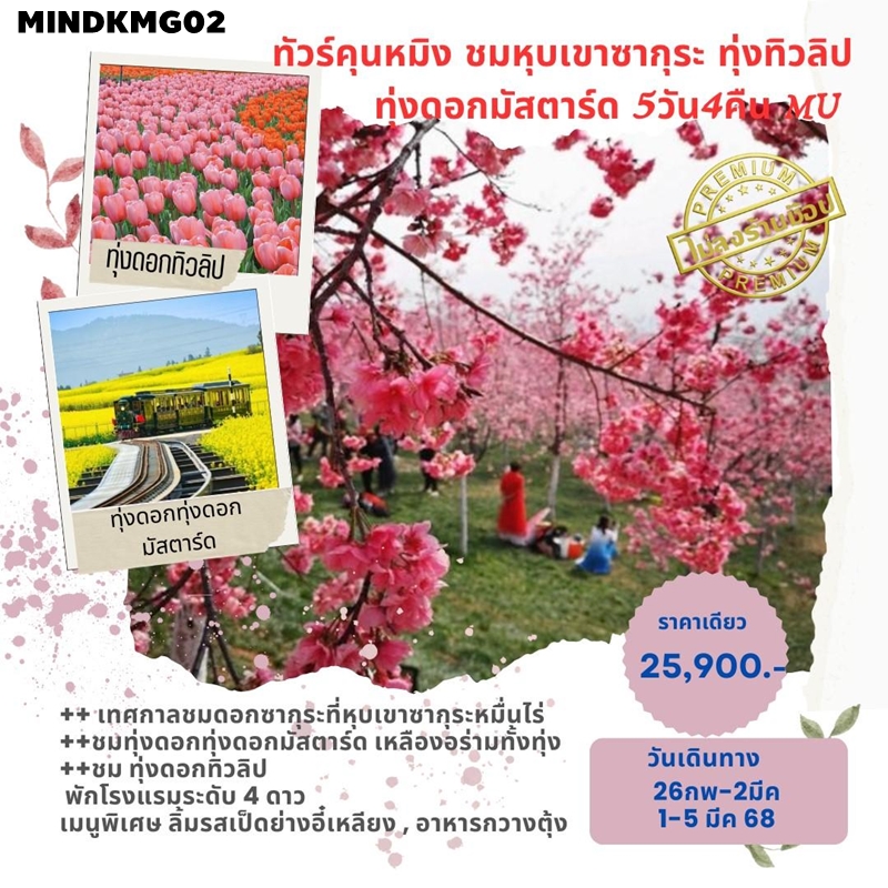 MINDKMG02 ทัวร์คุนหมิง - อี๋เหลียง  - โหลวผิง  ชมหุบเขาซากุระ ทุ่งทิวลิป ทุ่งดอกมัสตาร์ด 5วัน4คืน MU