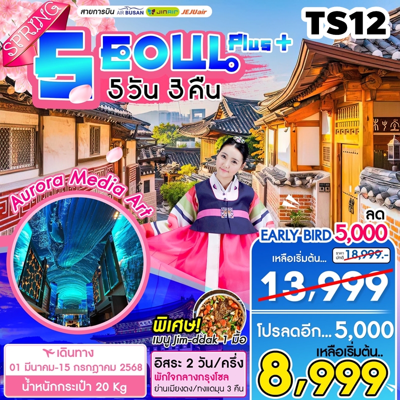 TS12 ทัวร์เกาหลี โซล Seoul Plus Spring 5D3N 7C 1MAR-12JUL25